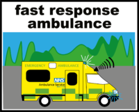 Ambulance fast response
