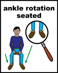 Ankle rotation seated