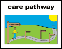 Care pathway V2