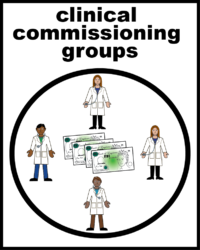 Clinical commissioning groups