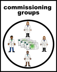 Clinical commissioning groups V2