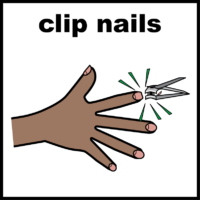 Clip nails