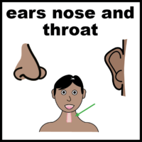 Ears nose and throat