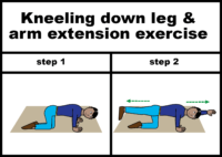 Kneeling down leg & arm extension exercise
