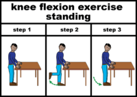 Knee flexion exercise standing
