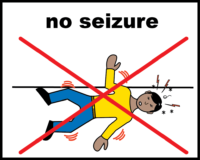 No seizure