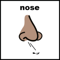 nose making whistling noise
