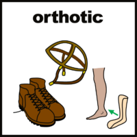Orthotic
