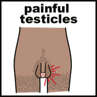 Painful testicles