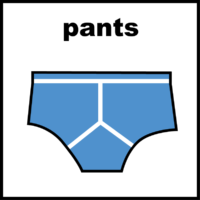 Pants Y Fronts