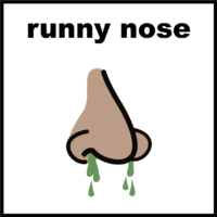 runny nose
