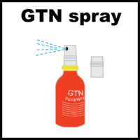 GTN spray