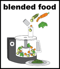 blended food