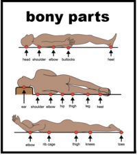 bony parts