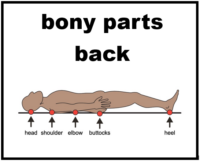 bony parts back