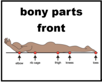 bony parts front