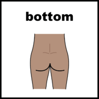 bottom