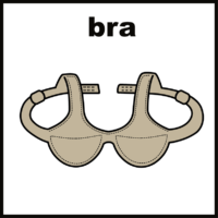 bra