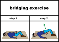 bridging exercise
