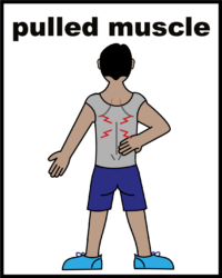 exercise pulled muscle back