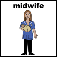 midwife