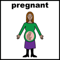 pregnant V2