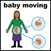 pregnant baby moving