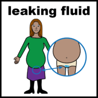 pregnant leaking fluid