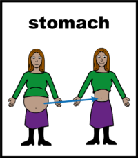 pregnant-stomach