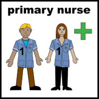 primary nurse
