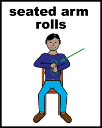 seated arm rolls