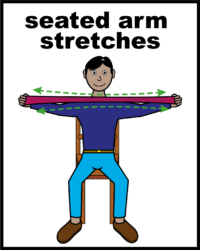 seated arm stretches