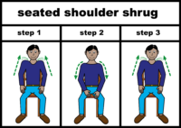 seated shoulder shrug