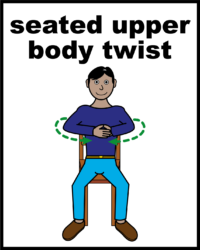seated upper body twist