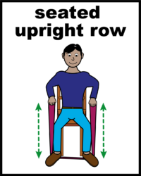 seated upright row