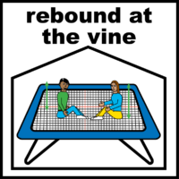 rebound at the vine