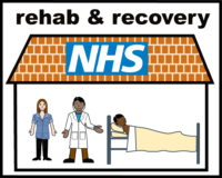 rehab & recovery