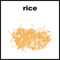 rice
