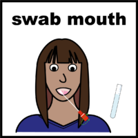 swab mouth V3