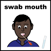 swab mouth V4
