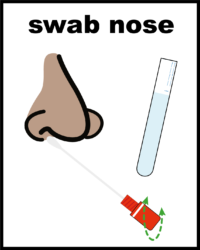 swab nose