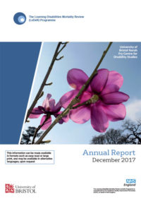 Thumbnail for LeDeR Annual Report 2017