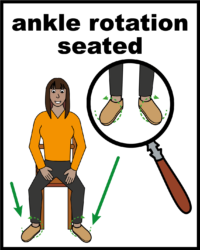 ankle rotation circles seated V2