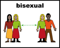 bisexual