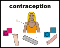 contraception V2