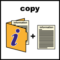 copy of information