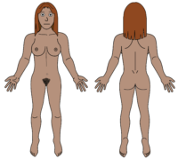 female body map