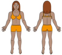 female body map V2