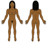 female body map darker skintone
