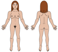female body map light skintone